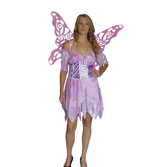 Kostýmy - Kostým Motýlek