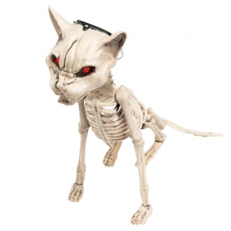 Halloween, strašidelné kostýmy - Kostra kočky svítící