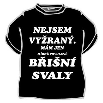 Kostýmy - Tričko Nejsem vyžraný, mám jen ...