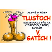 Průkaz Klidně mi říkej tlusťoch