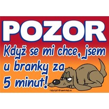 Certifikát Pozor Když se mi chce, jsem u branky