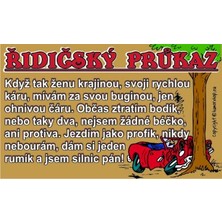 Průkaz Řidičský průkaz